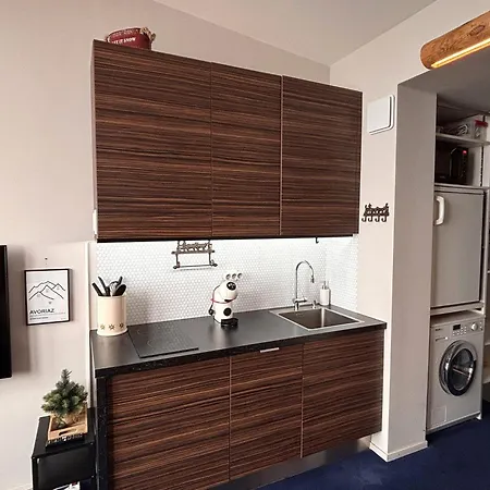 Appartement Bel Renove 7eme Etage, Quartier Falaise, Balcon Expose Sud, Tv, Internet, Casier A Skis - Fr-1-634-97
