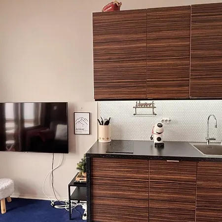 Bel Renove 7eme Etage, Quartier Falaise, Balcon Expose Sud, Tv, Internet, Casier A Skis - Fr-1-634-97 Appartement